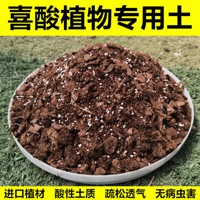 茶花绣球杜鹃栀子花专用土