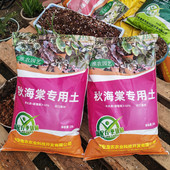 秋海棠有机营养土盆栽种植土室内阳台专用土进口泥炭土配方土肥料
