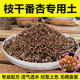 枝干番杏专用土多肉颗粒土营养土泥炭土肥料 控型上色快 透气性好