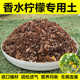 香水柠檬专用土柠檬树营养土地栽盆栽种植土泥土肥料微酸土壤 包邮