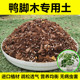 鸭脚木专用土通用型营养土鸭掌木室内盆栽种植土壤进口泥炭土肥料