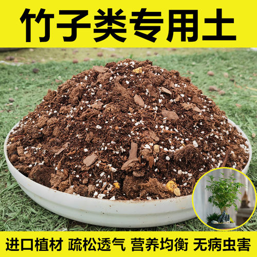 观音竹米竹罗汉竹红竹专用土