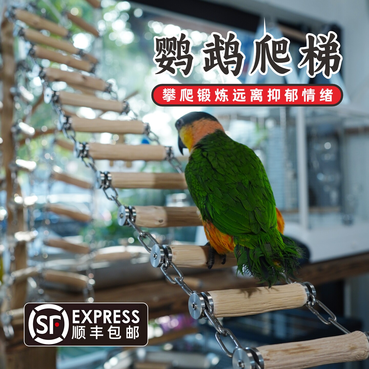 鹦鹉磨爪攀爬解闷铁链秋千云梯凯克中大型鹦鹉专用不锈钢鸟玩具