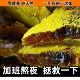 野生蜂巢蜜嚼着吃蜂蜜纯正天然老巢蜜农家正宗土蜂蜜自产蜂巢蜂窝