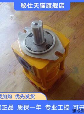 议价直齿共轭内啮合齿轮油泵NB4-C80F_ NB4-C100F_NB4-C125F