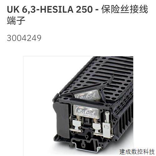 议价3004249 UK  6.3-HESILA 250菲尼克斯保险丝接线端子Phoenix