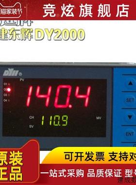 议价东辉仪表DY29B02-Pt100 DY29B00P DY29B06P DY21B00P DY21B06