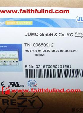 议价Jumo 00650912 久茂全新双通道控制器  DICON touch 703571/8