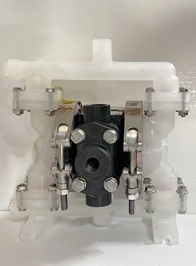 E6PP5B550  VersaMatic威马隔膜泵