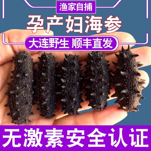 大连海参纯野生淡干货辽叁长海县深水鲜活250g术后非即食刺渗500g