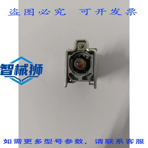 原装供应 ZB4BV33 指示灯灯泡本体 BA 9S-110-120V