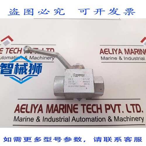 原装供应 MELS 2 G1/2 DN13 PN500 球阀 2GGT35011A000