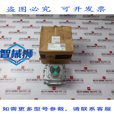 原装供应 TOPWORX TXS-P2CGNPM 限位开关盒