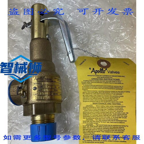 原装供应 APOLLO 19MDDL-045 3/4 安全泄压蒸汽阀