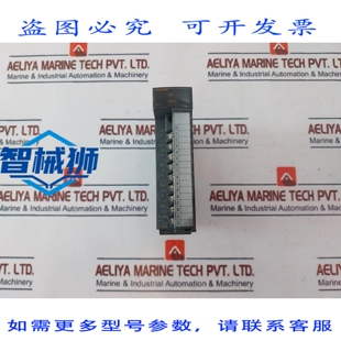 原装供应 MODULO DI INGRESSI ANALOGICI A 4 CANALI Q 系列电机