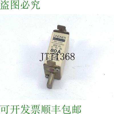 Lindner 保险丝盒 80A 500V Gl NH-C00 120kA