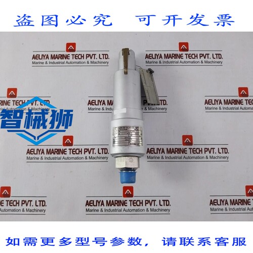 原装供应 MERCER 阀门 91-M2D63P1641 压力释放阀 3/4 英寸 3500
