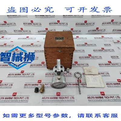 原装供应 INDICADOR DE PRESION MáXIMA 长野计器制作所 MT31 30