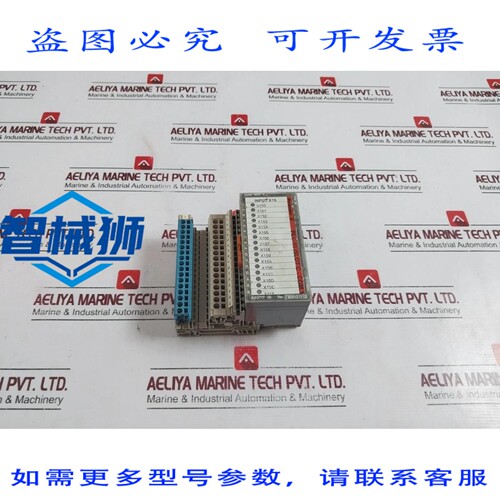 原装供应 830717 WINBLOC 数字模块 CAN 16DI P 167739 1001 5389