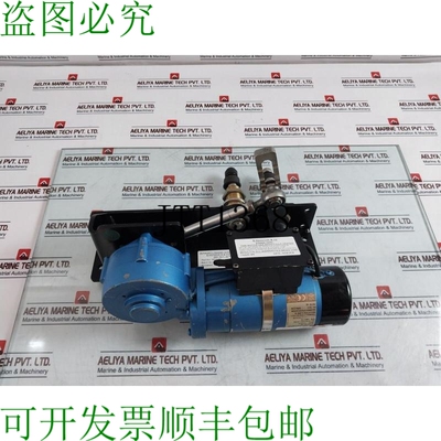 原装供应B Hepworth 10177104VF Viper电机220vDC绝缘B级