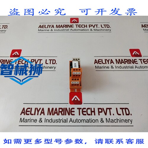 原装供应 RP 421024 继电器模块 GSED 5
