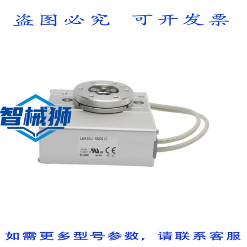 原装供应 LER30J-S5C918 24VDC NSNP