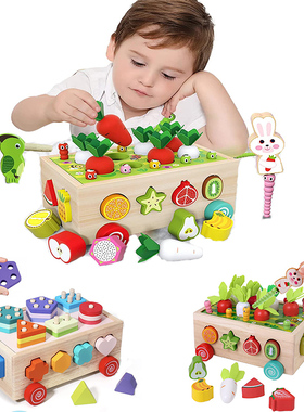 Baby Pull Carrot Set Wooden Sorter Toy Shape Matching