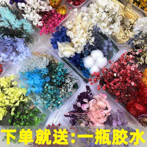 永生花干花diy材料包混装花盒混合干花手工相框空白团扇永生花瓣
