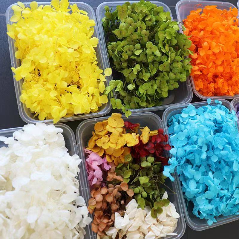 【永生绣球花】安娜绣球木绣球花玻璃罩相框装饰手工diy材料包5g,鲜花速递/花卉仿真/绿植园艺,干花,淘宝优惠券,粉丝福利购,淘宝优惠卷