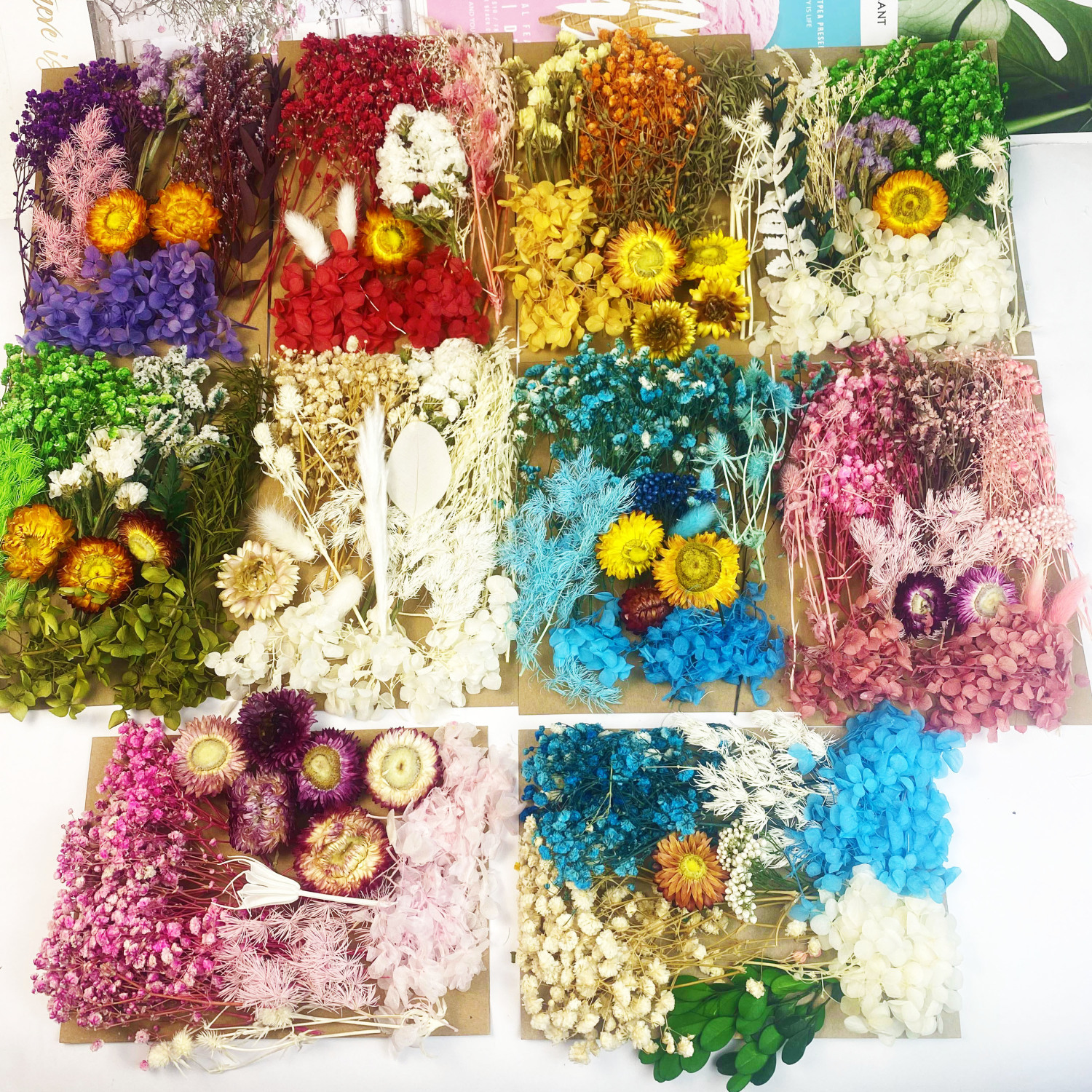 干花永生花diy浮游花香薰蜡烛相框团扇幼儿园手工压花材料包