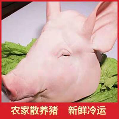 东北特产农家院新鲜现杀整个土猪头带舌耳朵骨头包邮15-18斤