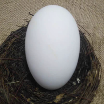 东北特产鹅蛋新鲜现发大个头140到170克