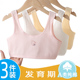 女童内衣发育期小背心12岁13小学生防凸点纯棉少女文胸儿童一阶段