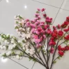 Товары от 阳光花卉