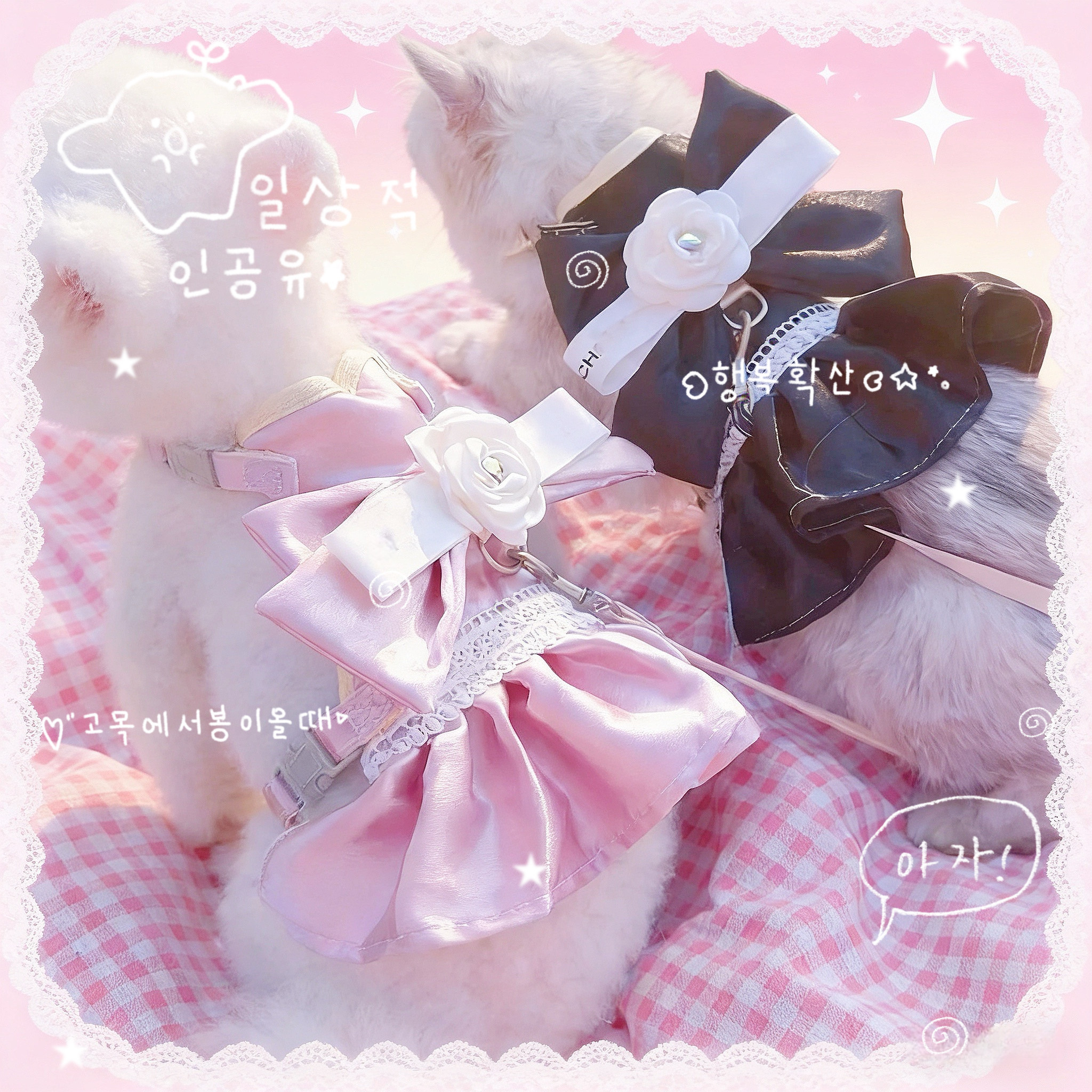 猫猫夏日小香风裙子宠物胸背带猫咪狗狗可牵引小裙子溜猫绳遛狗绳,宠物/宠物食品及用品,猫牵引绳,淘宝优惠券,粉丝福利购,淘宝优惠卷