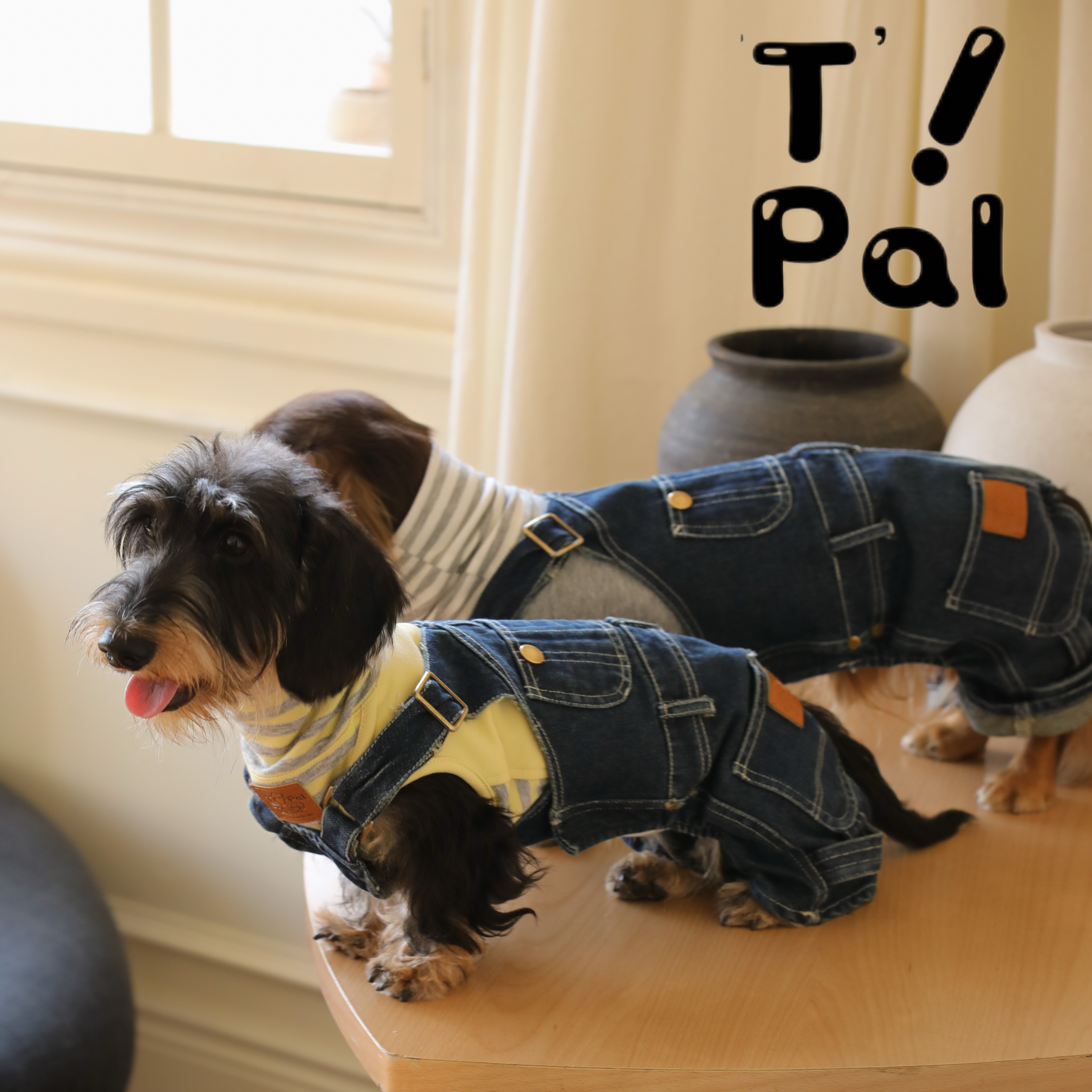T-Pal宠物水洗做旧牛仔背带裤 复古日系中小型犬腊肠短腿牛仔裤