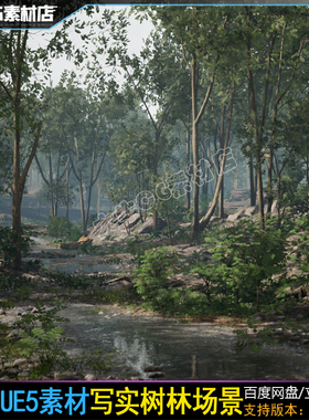 UE4虚幻5 写实树林 岩石溪流山林场景森林密林灌木碎石场景素材