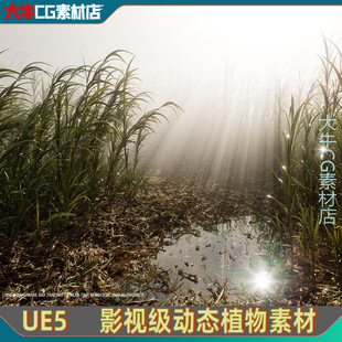 UE5虚幻影视级植物芦苇草叶子芦苇丛草丛雾中芦苇Nanite Reed Vol
