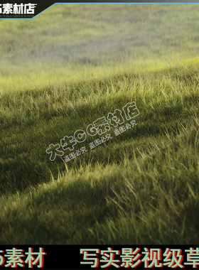 UE5虚幻 写实草地影视级草原 风吹草地 Grass Material 素材场景