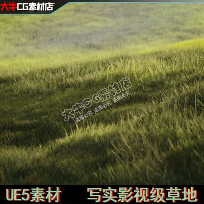 UE5虚幻 写实草地影视级草原 风吹草地 Grass Material 素材场景