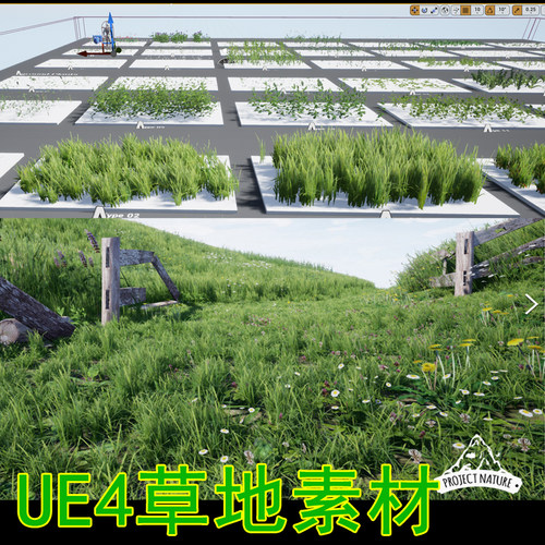 UE4虚幻5 写实绿草素材小草 小花草植被植物草坪草地草原资产