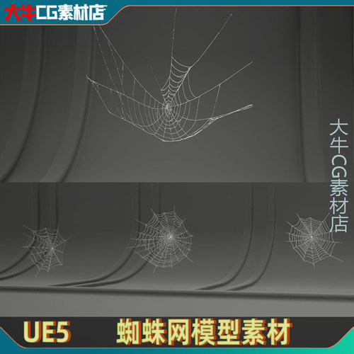 UE4UE5虚幻5 写实蜘蛛网蜘蛛丝3D模型素材 MAE Cobweb Collection