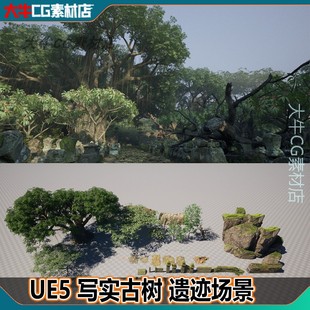 虚幻UE5 写实大树古树破旧石砖墙水塘遗迹大榕树林泥路环境场景
