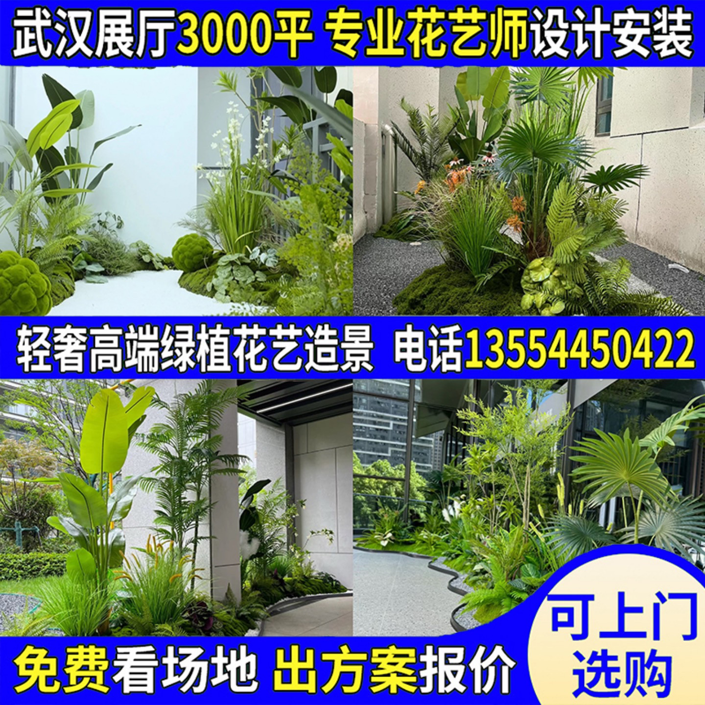 武汉同城散尾葵树橱窗景观田园