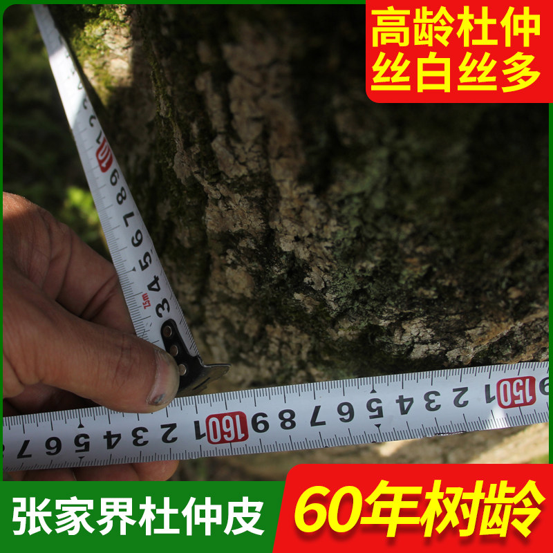 杜仲 野生老杜仲皮 张家界原产地发货高龄丝连皮男性泡酒煲汤520g