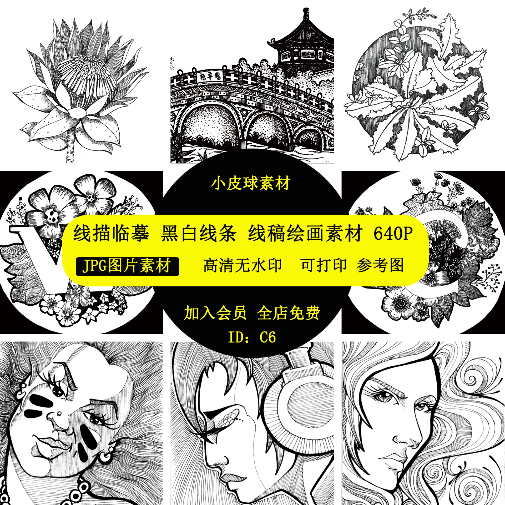 c6线描临摹黑白线条练习线搞绘画写生动物人物字母水果儿童画设计