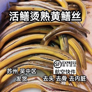 【顺丰】新鲜活杀现烫去骨去头去内脏鳝鱼无刺黄鳝鳝丝免处理