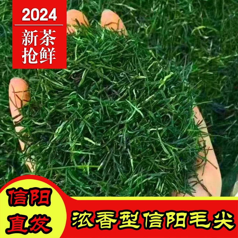 正宗毛尖绿茶茶叶信阳毛尖茶叶2024新茶一级官方旗舰店一芽一叶