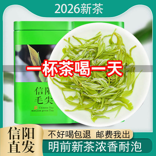 信阳毛尖2026新茶一芽一叶明前