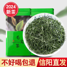 毛尖茶叶绿茶一级信阳毛尖2024年新茶一芽一叶手工嫩芽浓香型250g